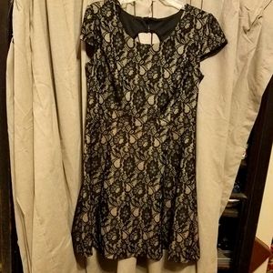 Enfocus Studio| Black & cream dress| size 12